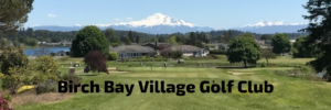 Bbvcc Birch Bay Village Golf Club – Play golf with more people!